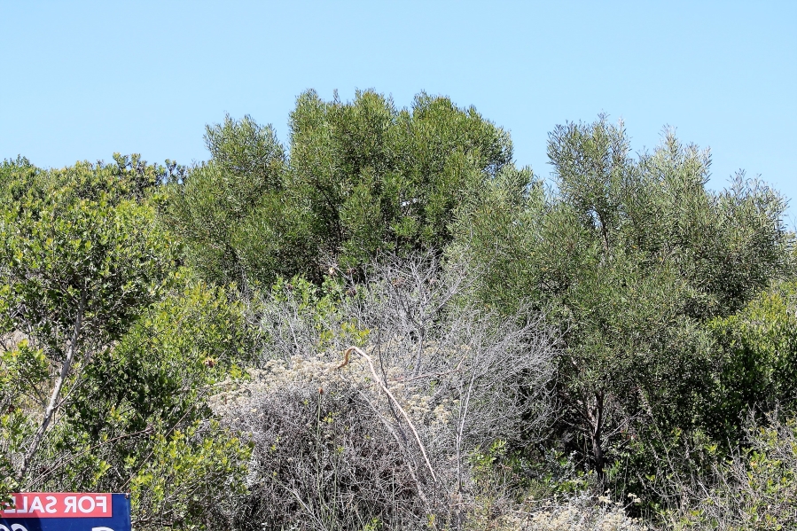 0 Bedroom Property for Sale in Dana Bay Western Cape